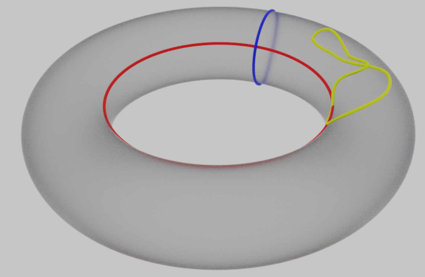 二维的圆环面$T^2$上的不可缩路径（红色纬线与蓝色经线）与可缩路径（黄色圈）