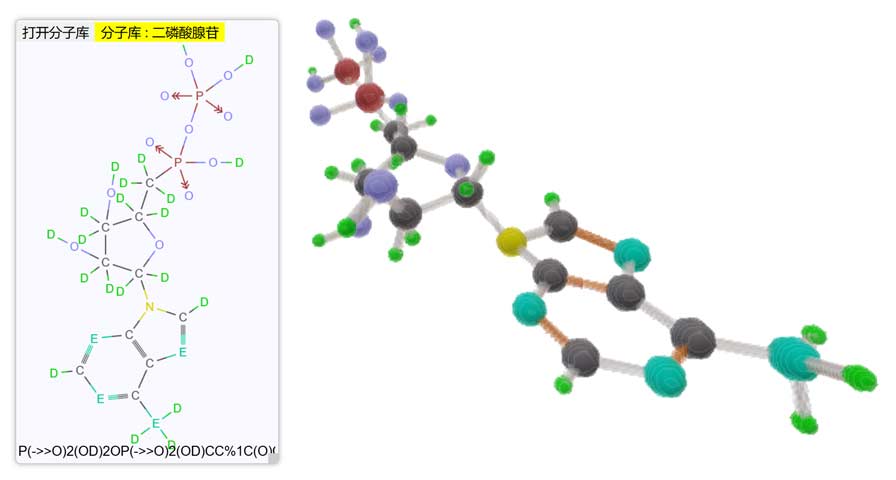 Tesserxel示例库中的四维分子
