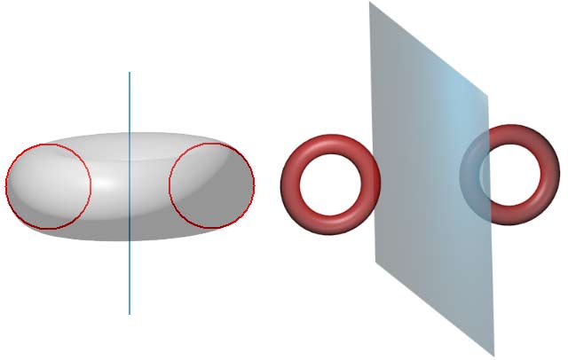 圆环环（圆环绕平行于圆环轴的平面旋转得到）对应于圆环面加厚